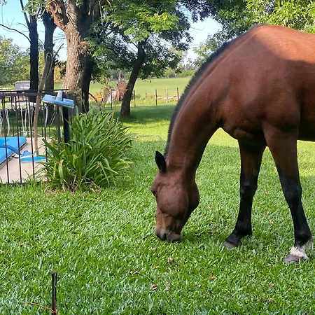 San Jacinto Casa De Campo Hermoso Lugar Para Grupos Grandes, Fiestas, Despedidas ,Eventos Promo Feriado 1 Al 4 De Mayo Reservalo Ya ! Gualeguaychú Exterior foto